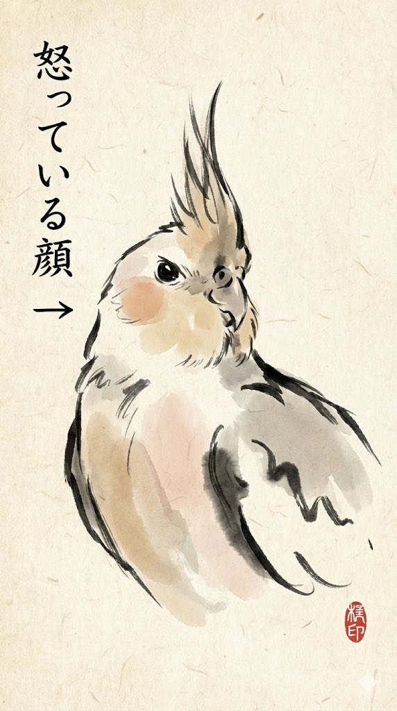 anashlali's tweet photo. @gaki_teinei Amazing style, that’s my cockatiel, thanks for sharing. https://t.co/SURBcYlaUV