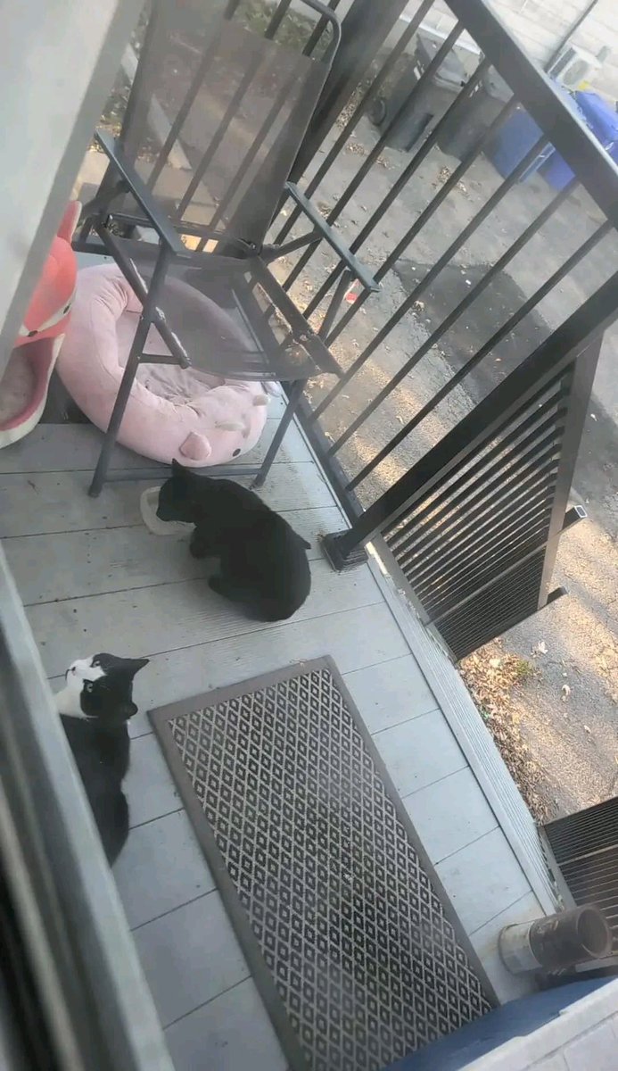 KMarcisenu74871's tweet image. 