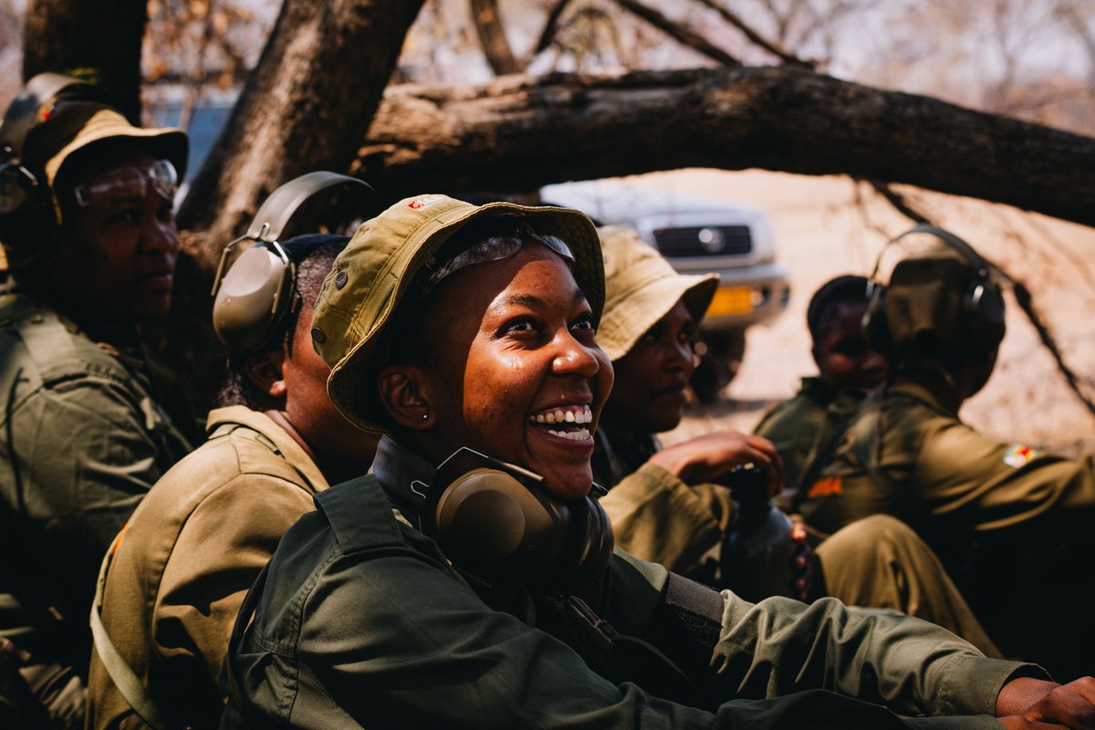 Akashinga tweet media