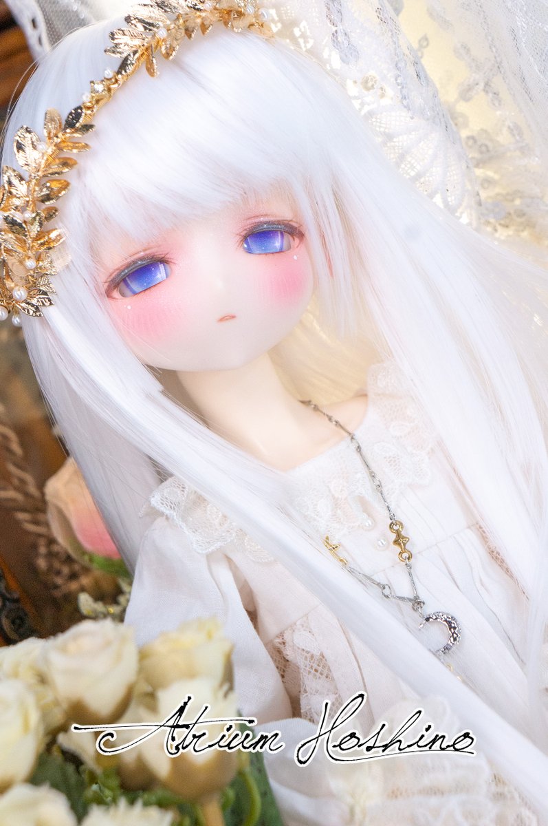 今週ヤフオクにキムドールを2体出品しています。
ちなみに、今回は終了日が異なります。
2体とも無事に引き取ってもらえることを願っています。𐔌՞. .՞𐦯

🍭 
auctions.yahoo.co.jp/jp/auction/u12…

🕊️ 
auctions.yahoo.co.jp/jp/auction/c12…

よろしくお願いします。