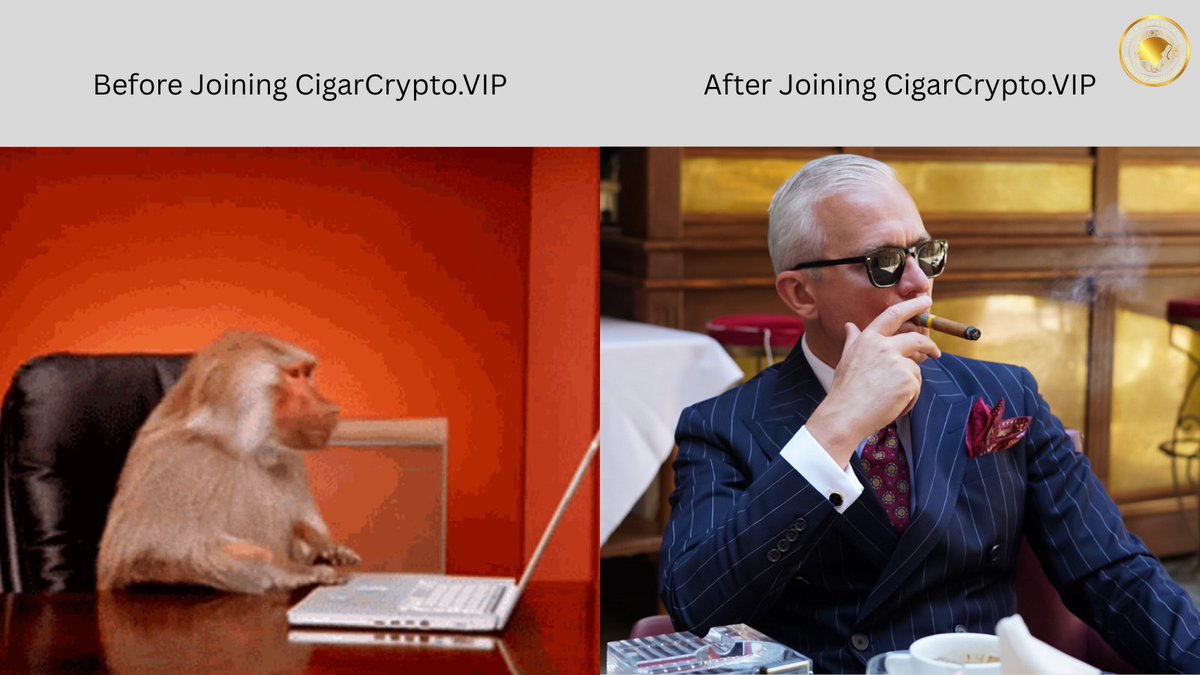Tonight, we turn degens into gentleman with CigarCrypto.VIP
