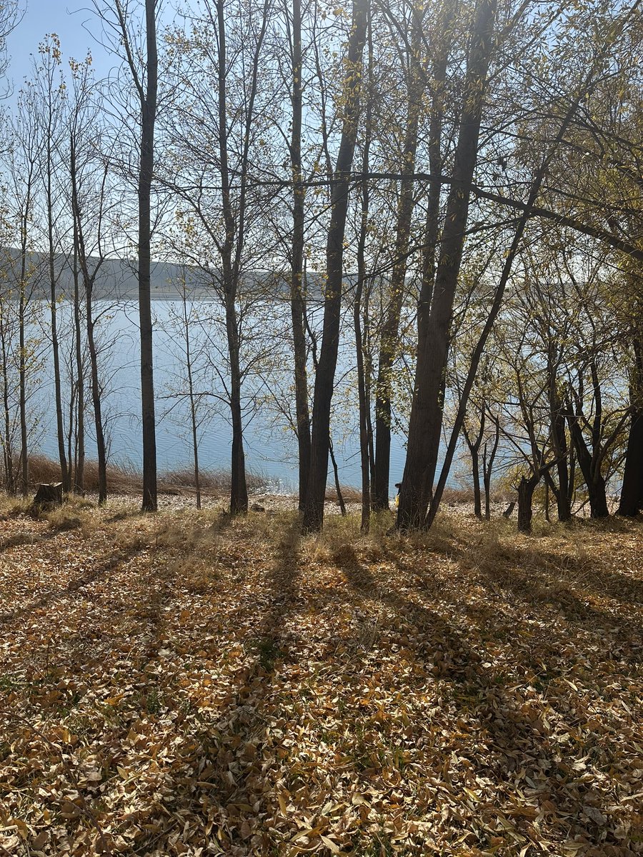 İbret al yere düşen yapraktan, 
O da tepeden bakardı toprağa.

|| Mevlana