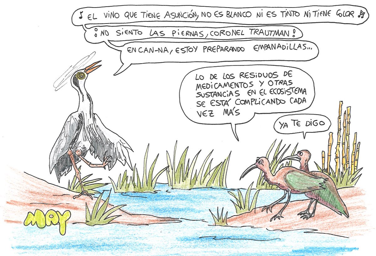 Un informe de <a href="/SEO_BirdLife/">SEO/BirdLife</a> sobre #contaminación difusa confirma la presencia generalizada de contaminantes orgánicos en 28 Áreas Importantes para la #Conservación de #Aves y la #Biodiversidad en toda España. Los más comunes: los residuos de fármacos. 

efeverde.com/contaminacion-…