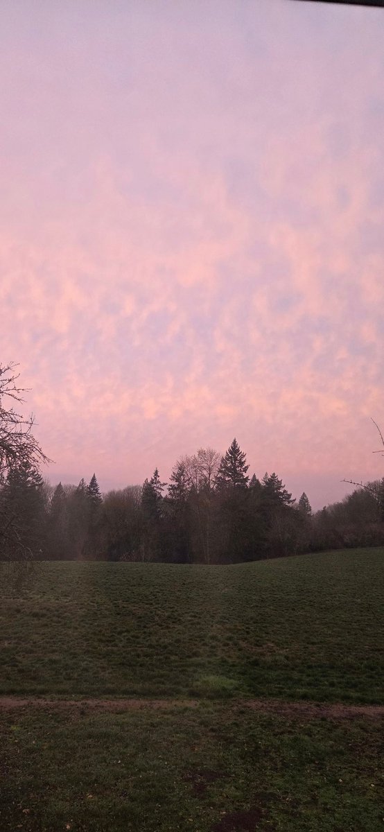 Had speckled skies this morning🥹