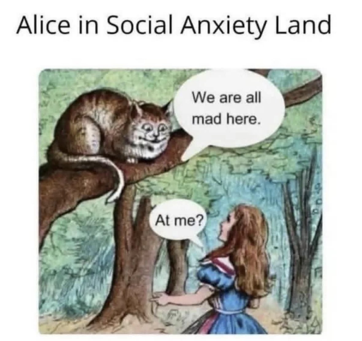 ADHDForReal's tweet image. 