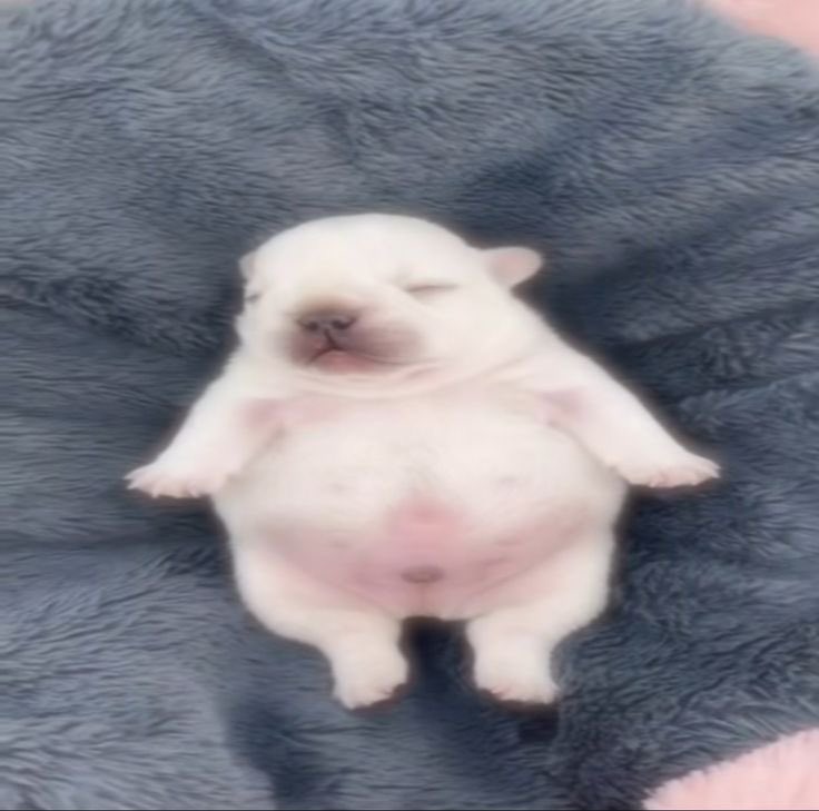 eu de barriguinha cheia dps de comer 2 pratos de macarrão que minha namorada fez pra mim