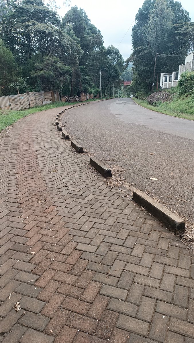 Auntie wa bedding/dera🐯 (@ms_wanjiruh) on Twitter photo 