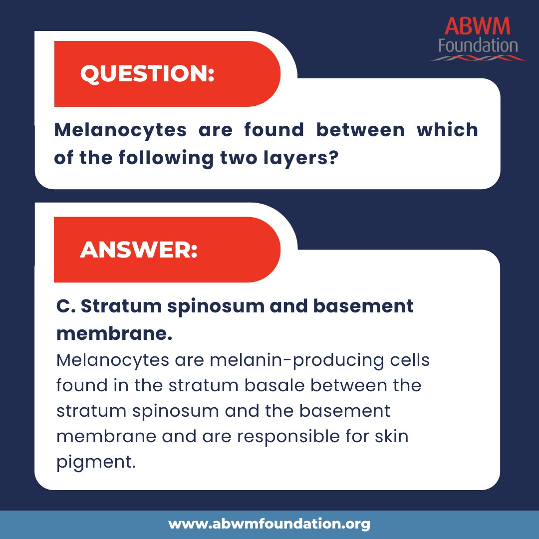 ABWMFoundation_'s tweet photo. The correct answer to yesterday's Test Prep Tuesday question is C.
Did you get it right? Check back in next week for the next Test Prep Tuesday Question!
#testpreptuesday #woundcare https://t.co/5zJi6WiODA