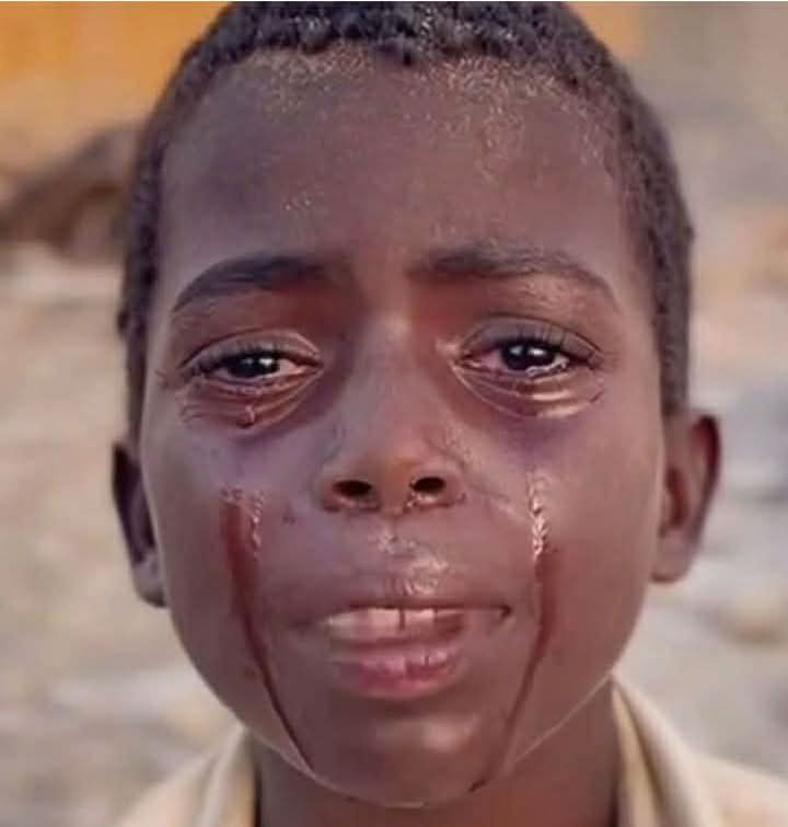 bouchraSahrane's tweet image. لا تبحثوا عن معنى الحياة ومفاهيمها في الكتب ابحثوا عنها في (عيون أطفال السودان )
#السودان_المنسي