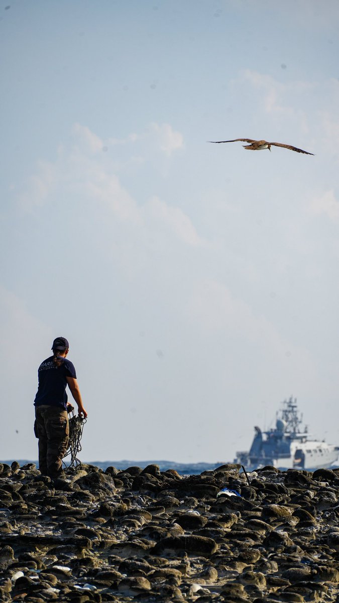 📍 Clipperton | #PASSION mission update: 
 
🛥️ Patrol vessel deployed with a drone in the air to protect fisheries and counter illegal activities at sea✅️
🏝️ Cleaning up part of the atoll by the crew ✅️
 
Standing watch, at sea and on land, to uphold France's sovereignty