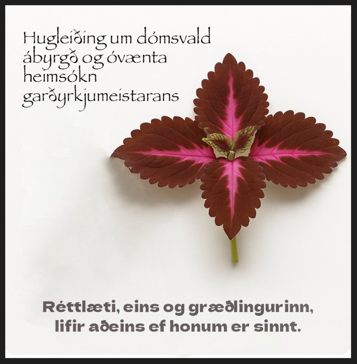 Hugleiðing um dómsvald, ábyrgð og óvænta heimsókn garðyrkjumeistarans
Það eru stundum undarleg og merkileg samræmi í tilverunni. Rétt á þeirri stundu sem ég var að senda erindið til Hæstaréttar — mál sem snertir líf barna, ábyrgð ríkisins og hlutskipti dómsvaldsins — bankaði