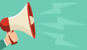 Contarina tweet media