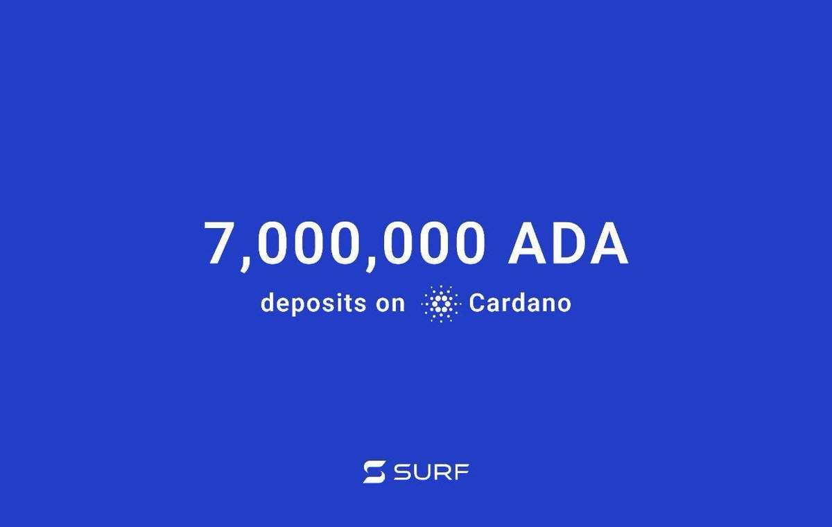 Surf | Lending Pools on Cardano tweet media