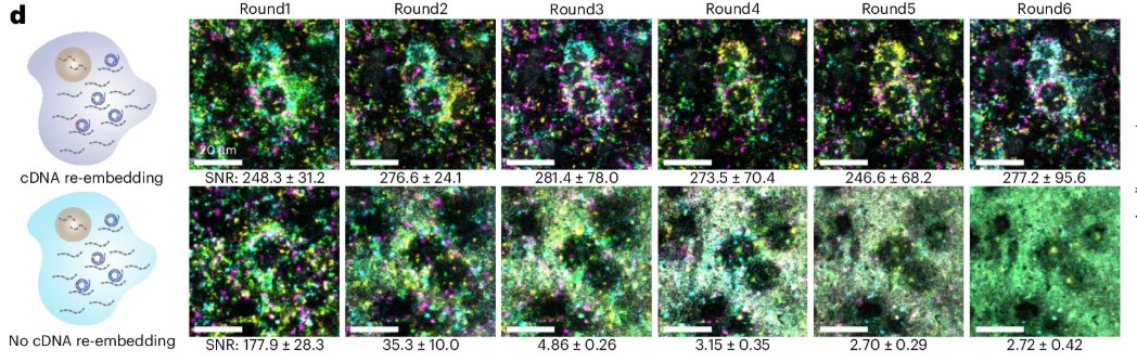Nature Methods tweet media
