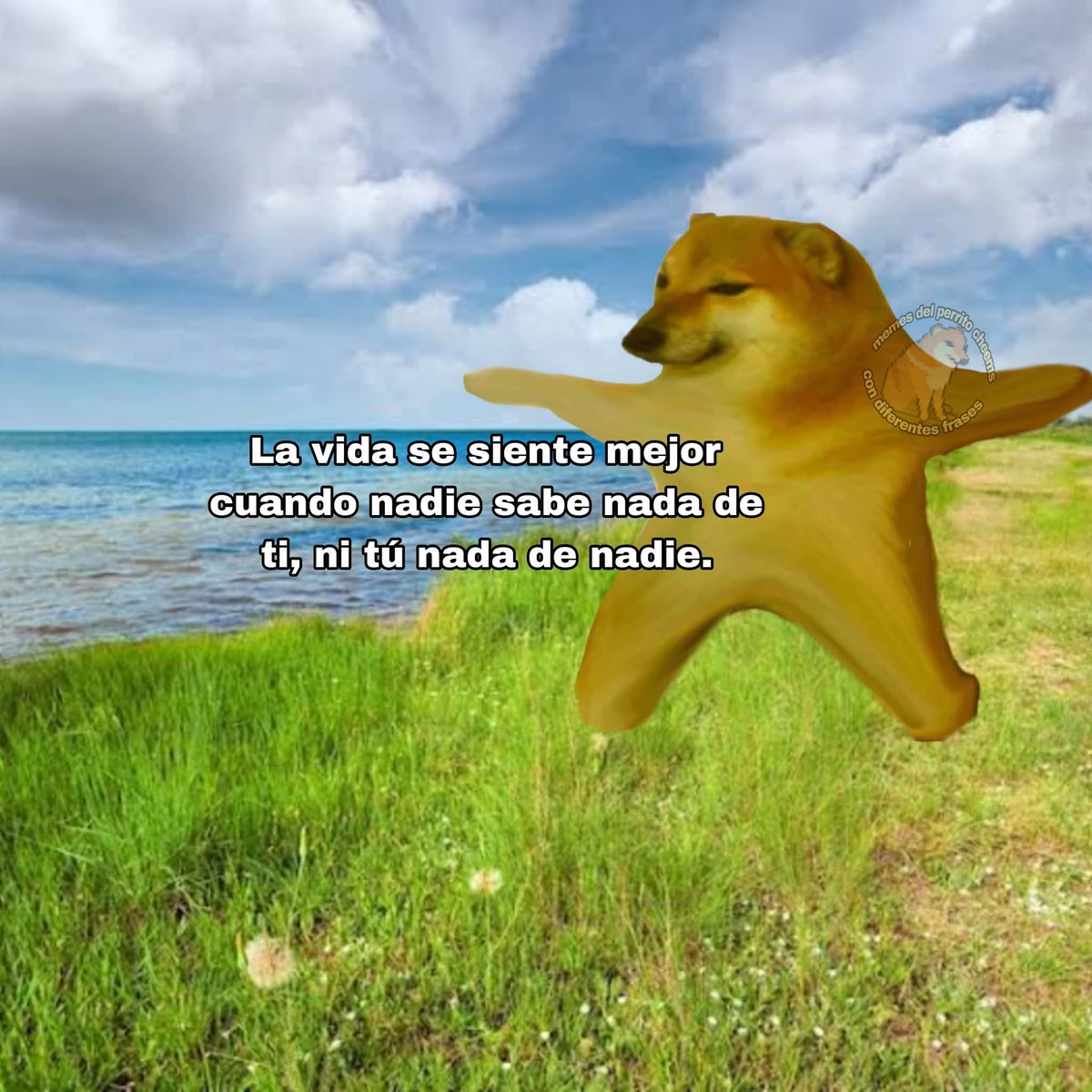 Nasty Poet (@nxstypxet) on Twitter photo 