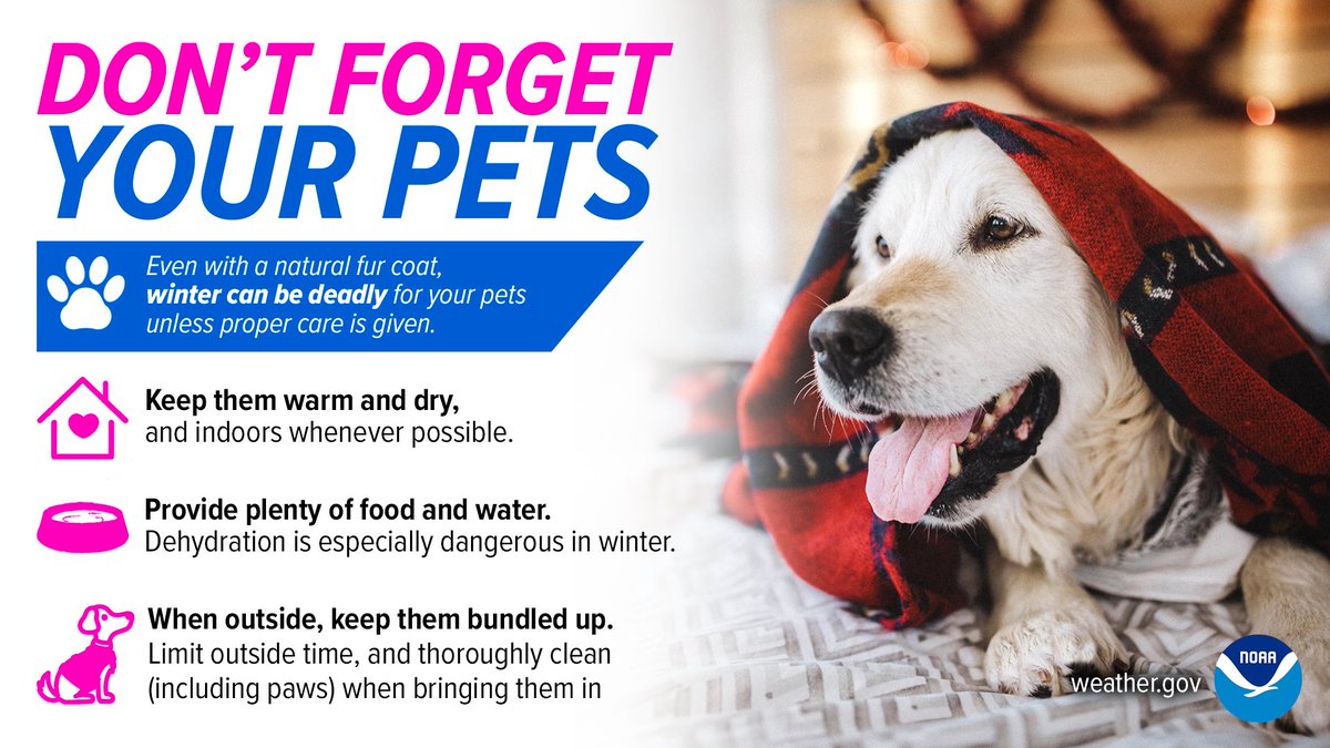 JOCOHealth's tweet photo. 🥶 Frigid temperatures are forecast for Thurs, Dec. 4. Some people are at greater risk of developing hypothermia and frostbite than others. Check on family, friends, neighbors and those experiencing homelessness. Remember to bring pets indoors, too! More: https://t.co/EOlFNlXA4B https://t.co/YLOYBL4f6c