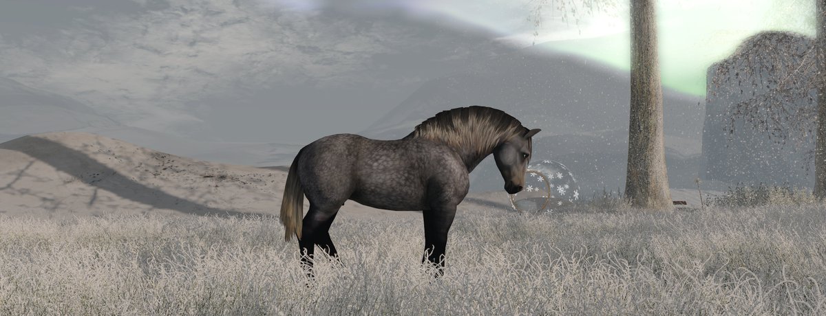SusannDeCuir's tweet photo. Sim Tip: ONCEAGAIN Art Gallery - Winter 2025
The owner and sim designer is onceagain (manoji.yachvili).
She has once again brilliantly combined art with landscape here: https://t.co/eIt9DXpiD3
TELEPORT: https://t.co/XsEMXtlnS4
#SecondLife #Destinations #GalleryTip #Winter https://t.co/xLe5zjK0CX