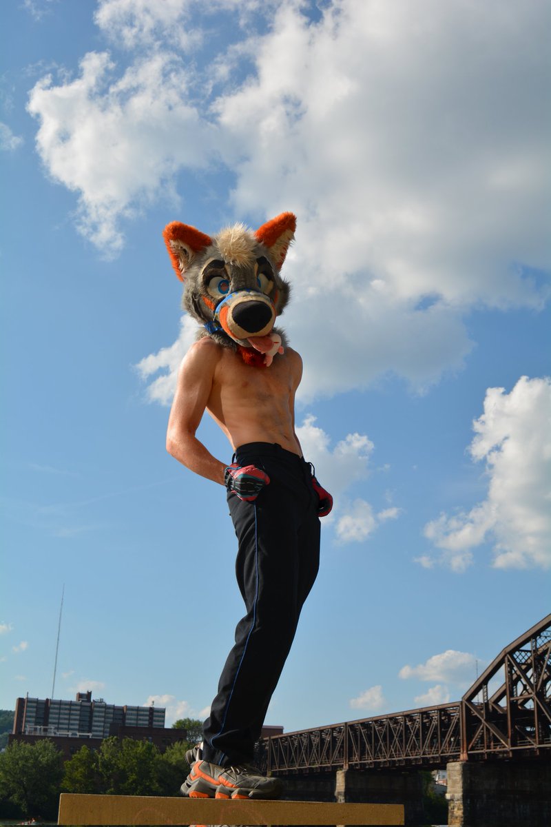 PartDoggo's tweet image. Better keep this dog on a leash