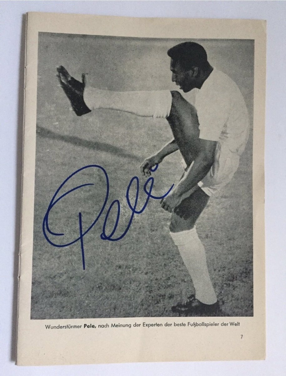 assophis's tweet image. 