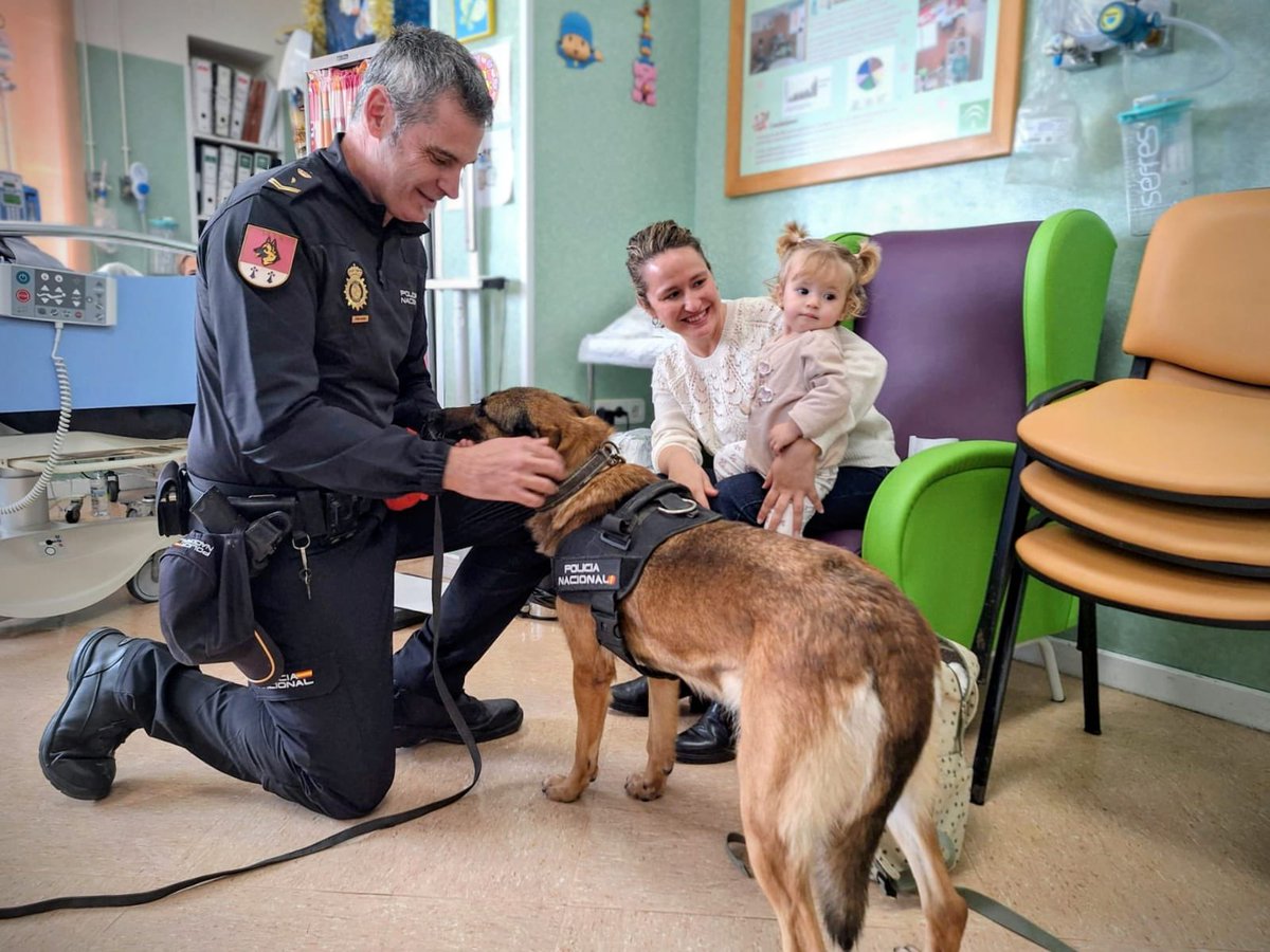 Policía Nacional tweet media