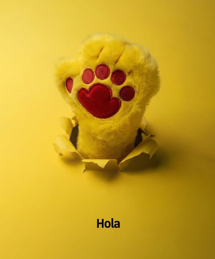 Hola 👀