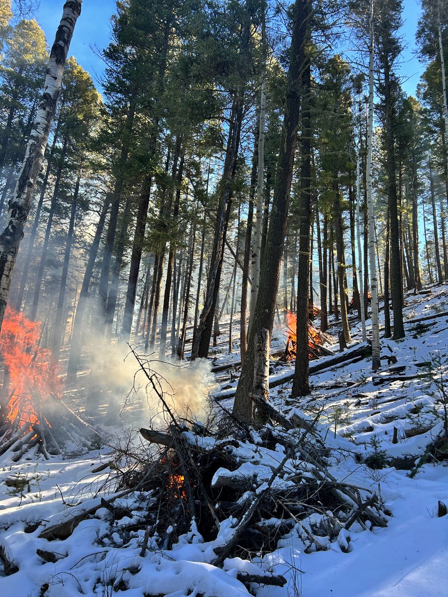 PILE BURN UPDATE
Winter weather is here ❄️

Pile burning started yesterday on the Jemez and Cuba Ranger Districts. We will evaluate weather conditions and snowpack before a pile burn begins. If conditions warrant, scheduled prescribed fire activities may be canceled.

Jemez