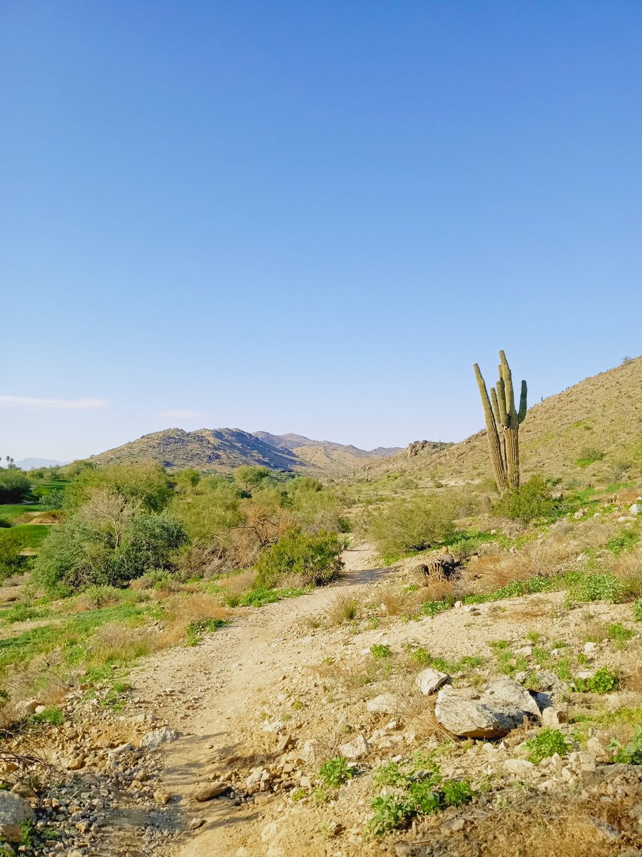 RyanBiddulph's tweet photo. We hiked the Pima Canyon Valley Trail in Phoenix today.
Cactuses starred..... obviously.
Look below to see me and a cactus becoming fast friends.
#HugACactusDay https://t.co/QuEKl78g4T