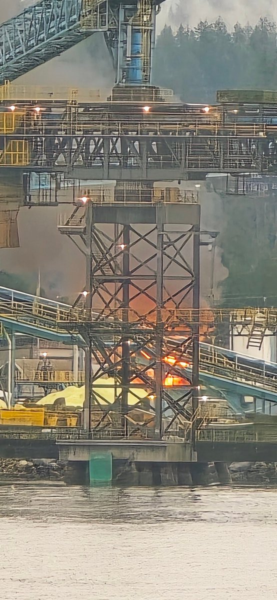 vanislandrob's tweet photo. Fire at sulphur mountain @CKNW @DailyHiveVan https://t.co/I4uXAyjIHJ