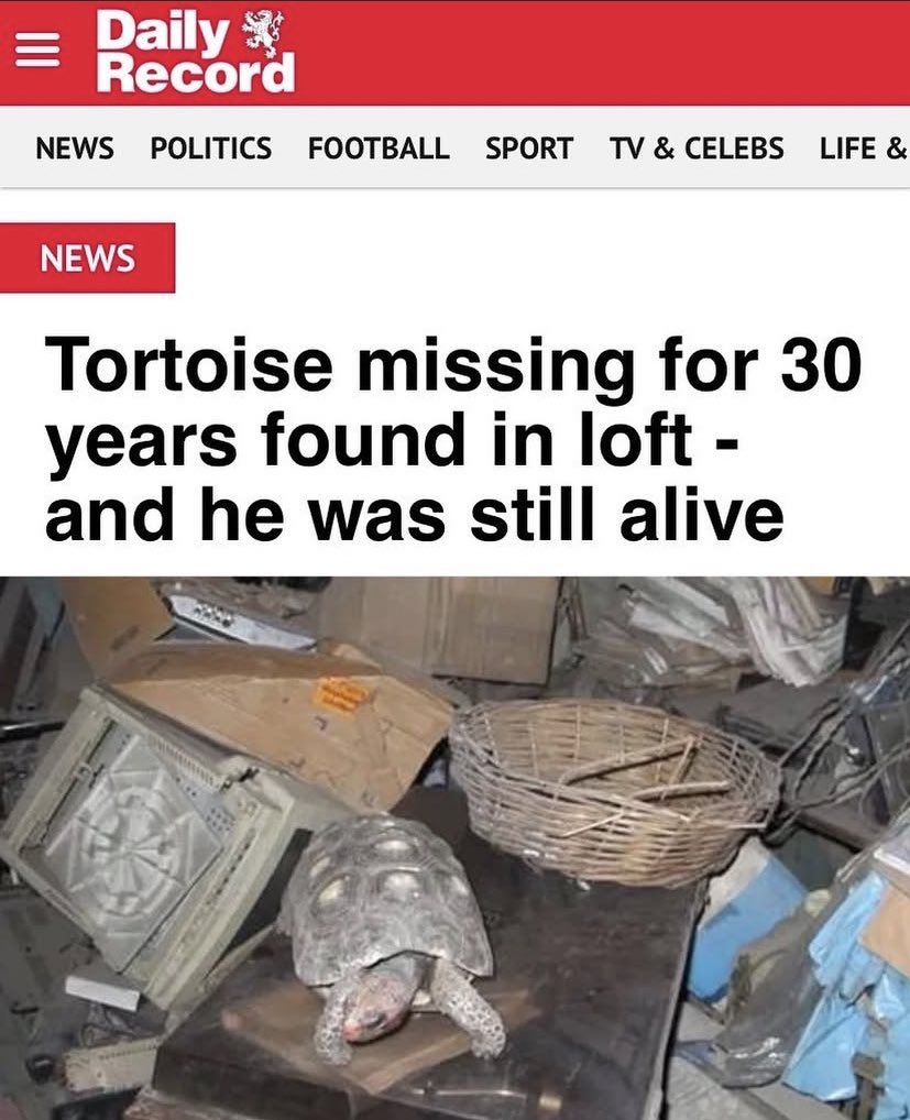 No Context Brits (@nocontextbrits) on Twitter photo 