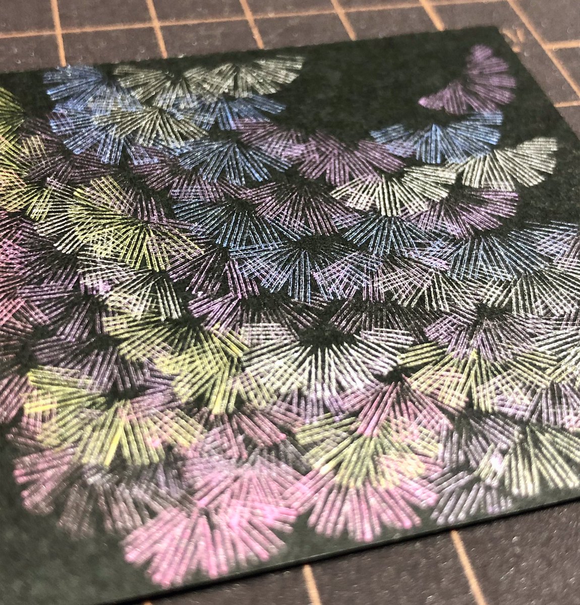 久しぶりの直線。