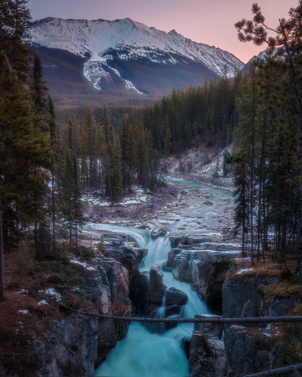 Dan the Man tweet media