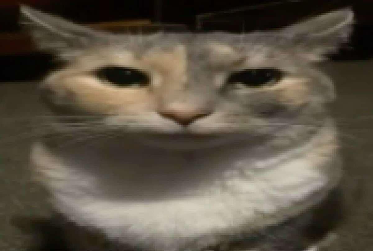 Clovmoon's tweet image. "Quédate con alguien que te vea como un artista ve a su arte"

Reacción del artista al ver su arte (es una cagada):