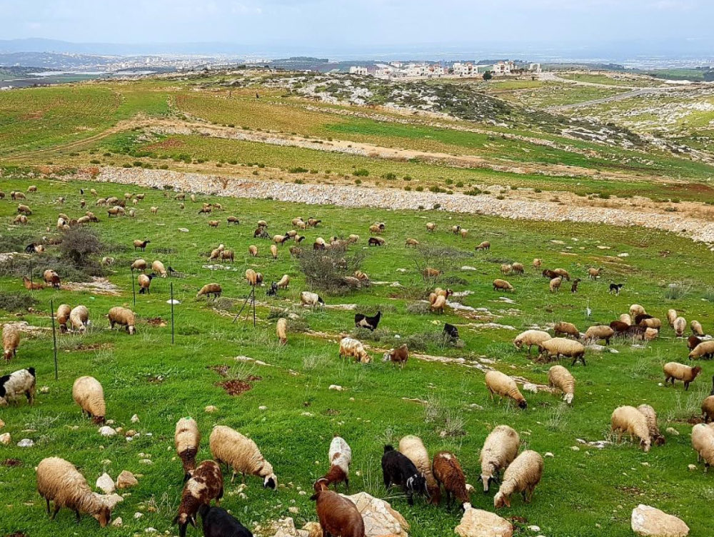 ثبّت جذورَك في التّرابِ فأنتَ باقٍ هاهنا
الأرضُ أرضُك يا فتى هذه البلادُ بلادنا

#جنوب_لبنان