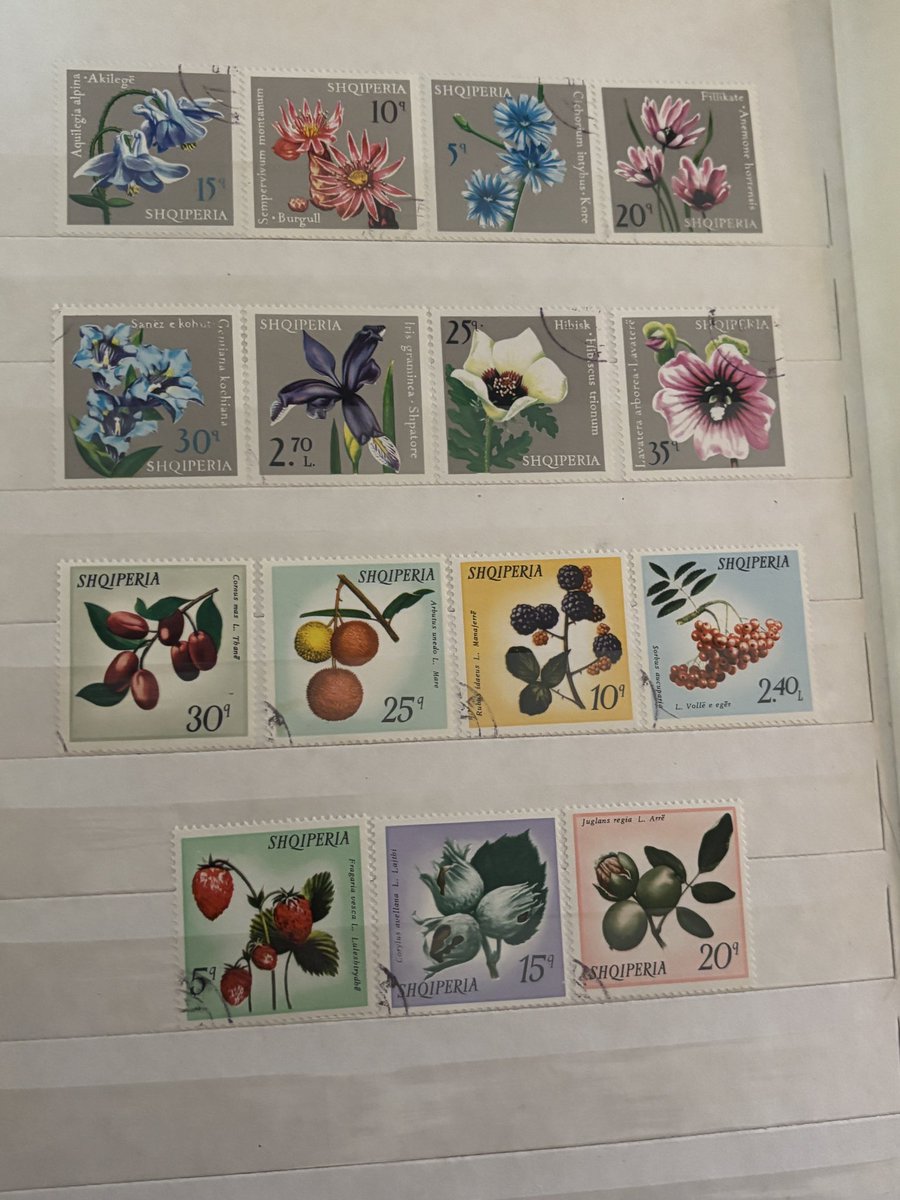 Jordan Laura Gouws-Dewar 🌻 tweet media