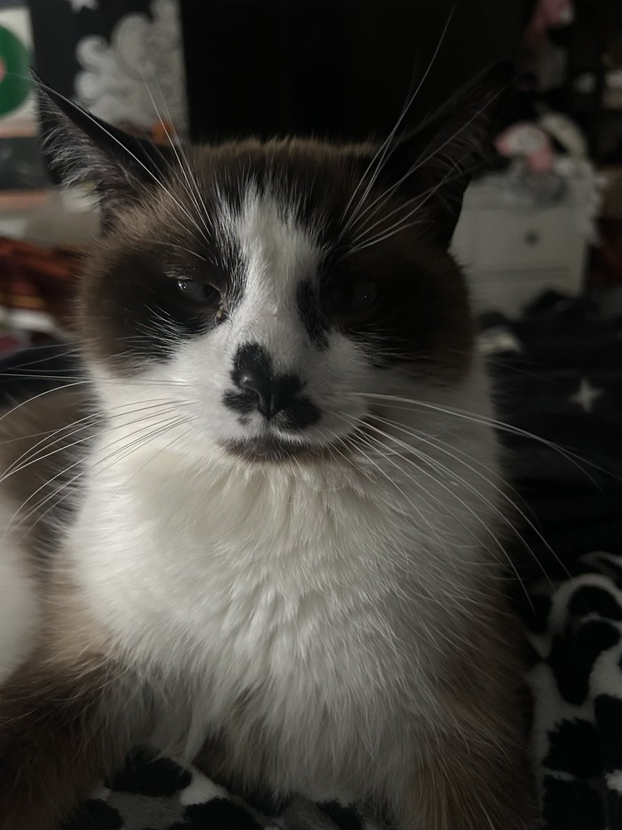 gemahtreeuhh's tweet image. full black eyes filled with evil. he is malice.