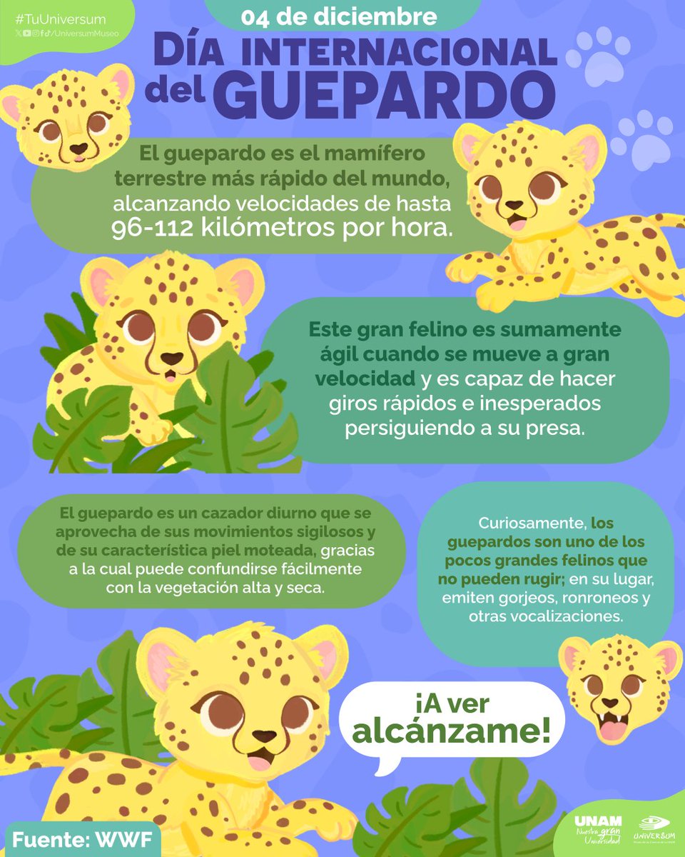 #UnDíaComoHoy es el Día Internacional del #Guepardo 🐆 💙

#TuUniversum