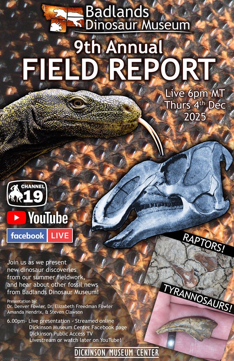TOMORROW (Thurs, 8pm ET/6pm MT/5pm PT) Our Annual field report! Learn about fossil discoveries so new we're still cleaning them up in the lab! Live &amp; FREE on Youtube, Facebook Live, &amp; Twitch (FossilPreparator and <a href="/Paleontologizin/">Paleontologizing (w/ Danny Anduza) is on Bluesky</a>. Links in comms! #fossilfriday #dinosaurs #scicomm