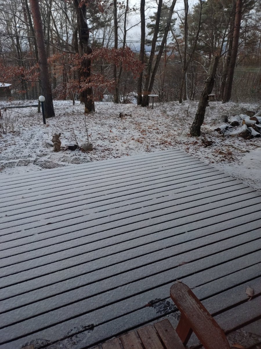 起きたら白かった❄ #初雪