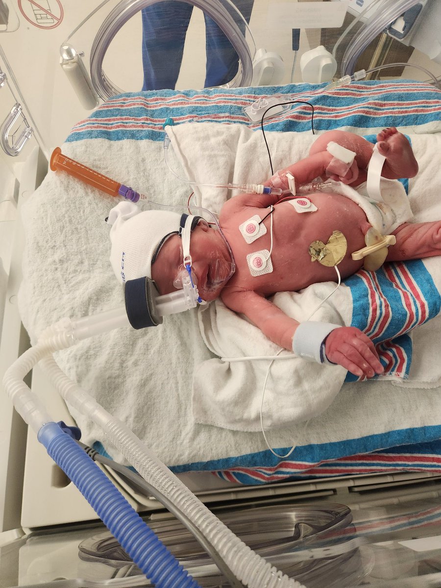 𝙎𝙡𝙮 tweet media