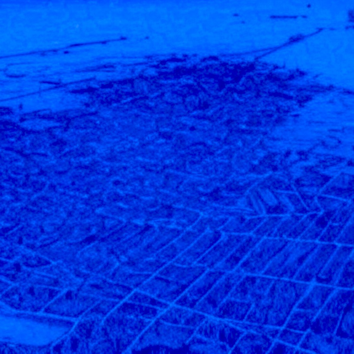 Sui Sensei 「🦑」 (@suisensei1) on Twitter photo 