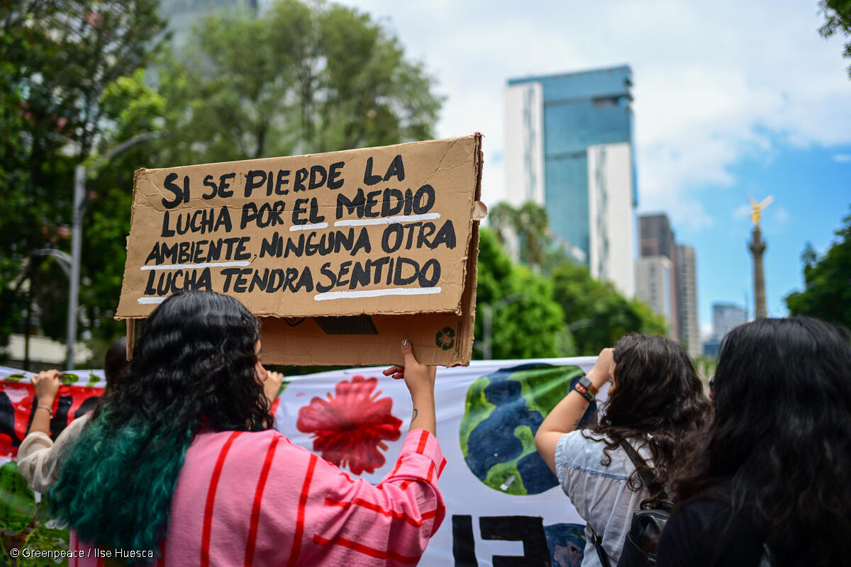 greenpeacemx's tweet photo. #NOTICIA
⚠️ La defensa de los derechos ambientales y sociales es amenazada.

La Suprema Corte discutirá nuevamente el proyecto de interés legítimo, poniendo en peligro la participación de la sociedad civil en la defensa de los derechos ambientales y sociales. ❌ https://t.co/mbbNhmvuLI