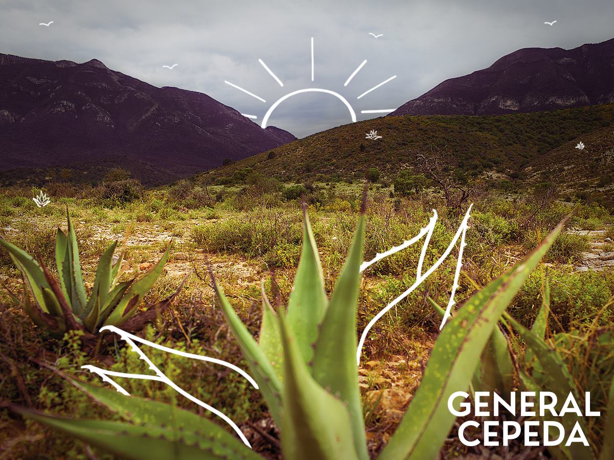 ¡Los paisajes del #PuebloMagico de #GeneralCepeda son una Chulada!😍

Este fin de semana, date una vuelta a nuestro pueblo y descubre la magia de nuestros valles y montañas. Es el lugar perfecto para desconectar y tomar fotografías espectaculares de la naturaleza de #Coahuila. ⛰