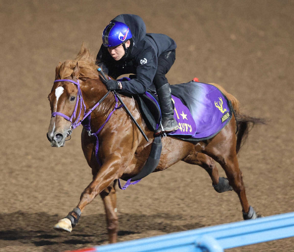 E9%A6%99%E6%B8%AF%E3%82%B9%E3%83%97%E3%83%AA%E3%83%B3%E3%83%88