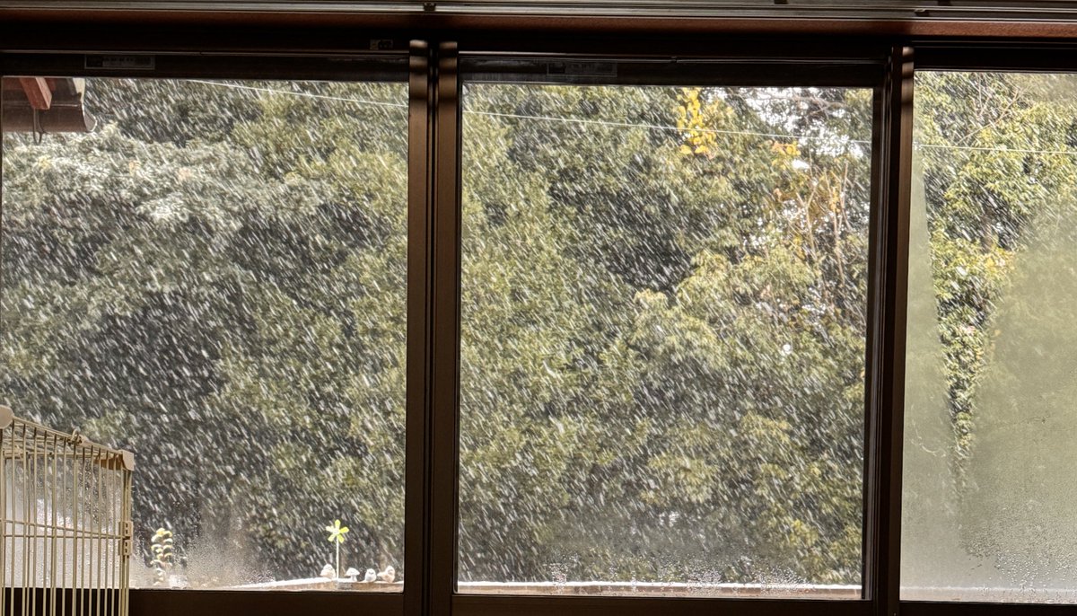 noritaimon's tweet image. 初雪⛄️