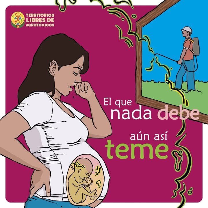 isabelgcoll's tweet photo. Exigimos a las autoridades estatales y federales que declaren Zona de Emergencia Sanitaria y Ambiental en los municipios del centro de Veracruz, ante el riesgo inminente que representa la reanudación del cultivo de papa con el uso intensivo de agrotóxicos. https://t.co/6I7k4U4CU7