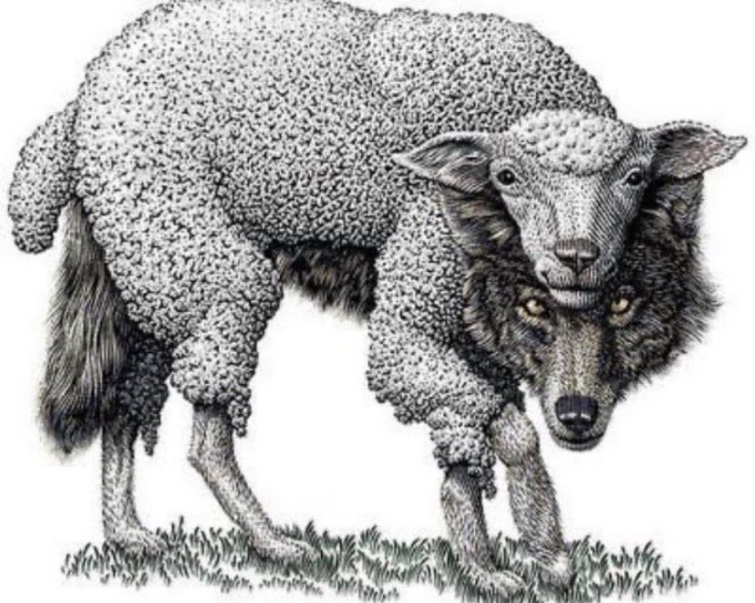 O tal g7 do obslove 💣 tweet media