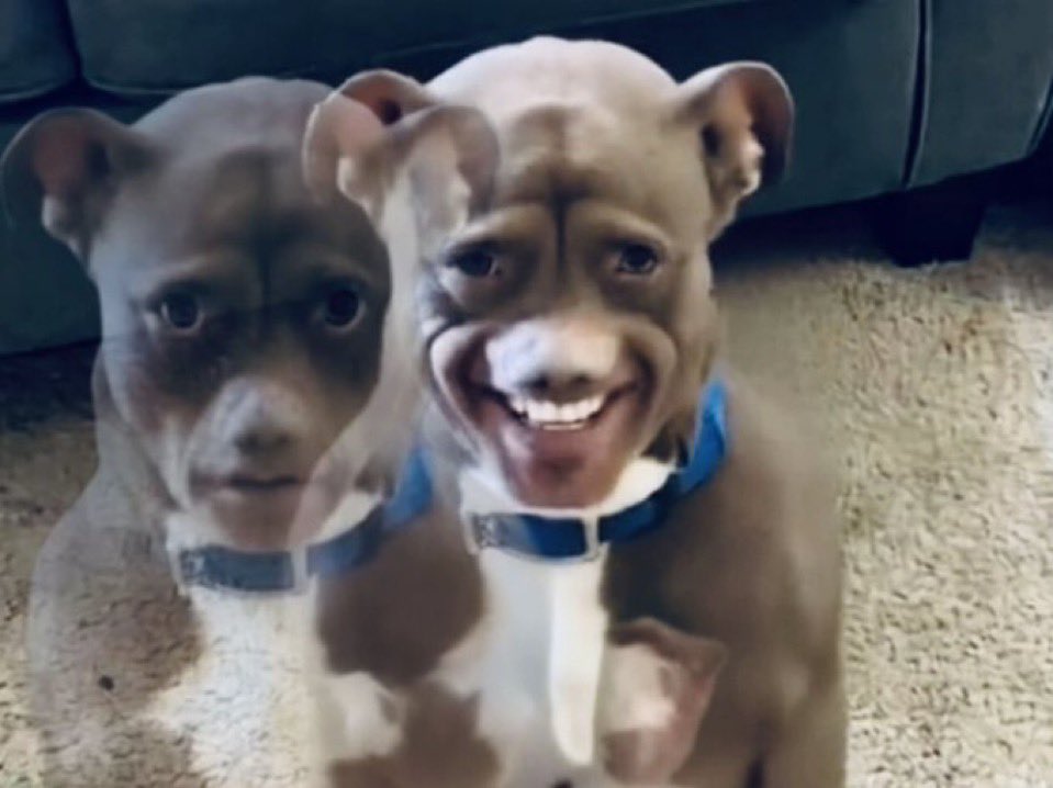 Maik♟️ tweet media