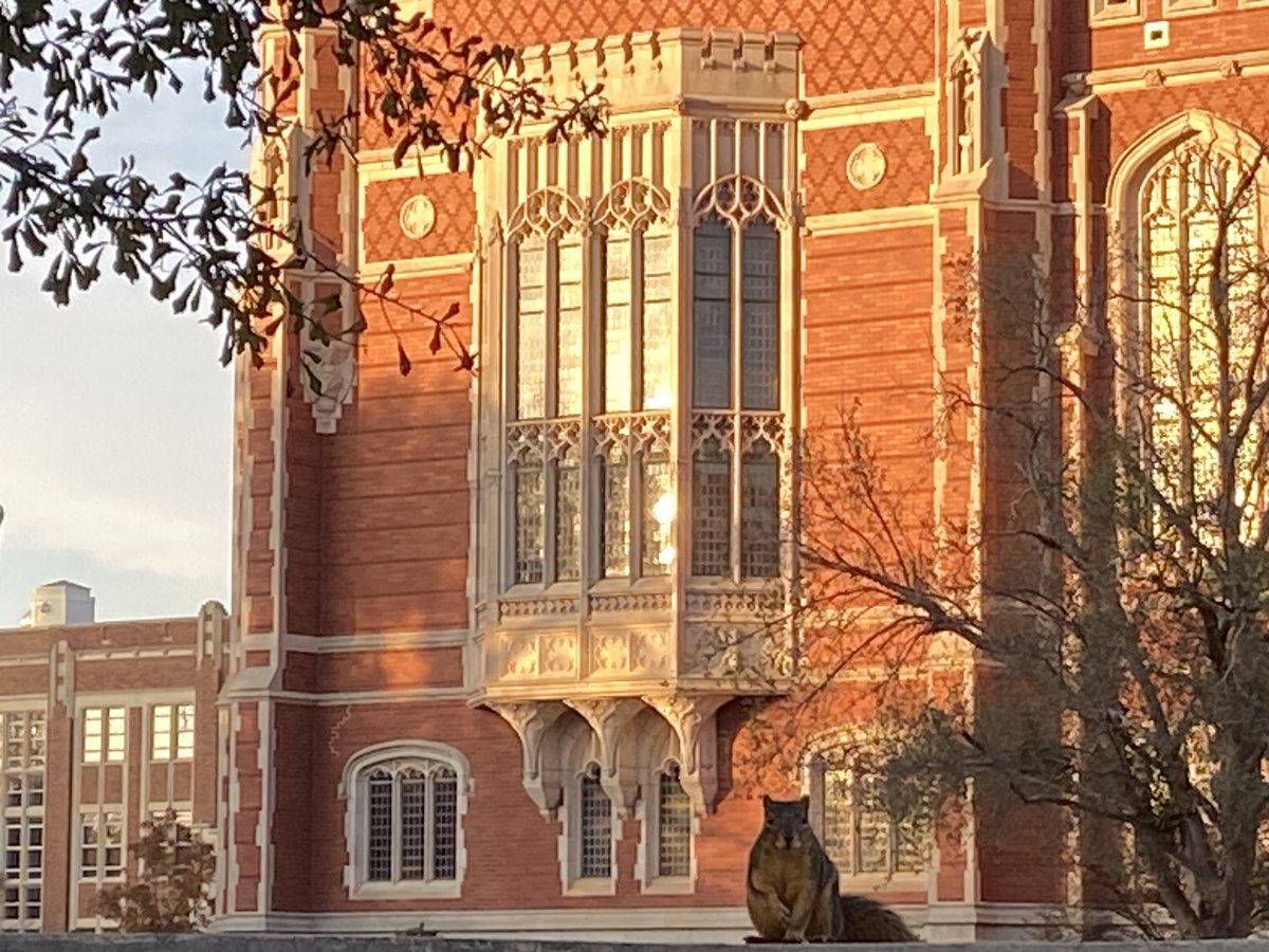 PalmeriJoAnn's tweet image. Posing for the camera near the Bizz #OUskywatch #CampusSquirrels #LibrariesFromTheOutside