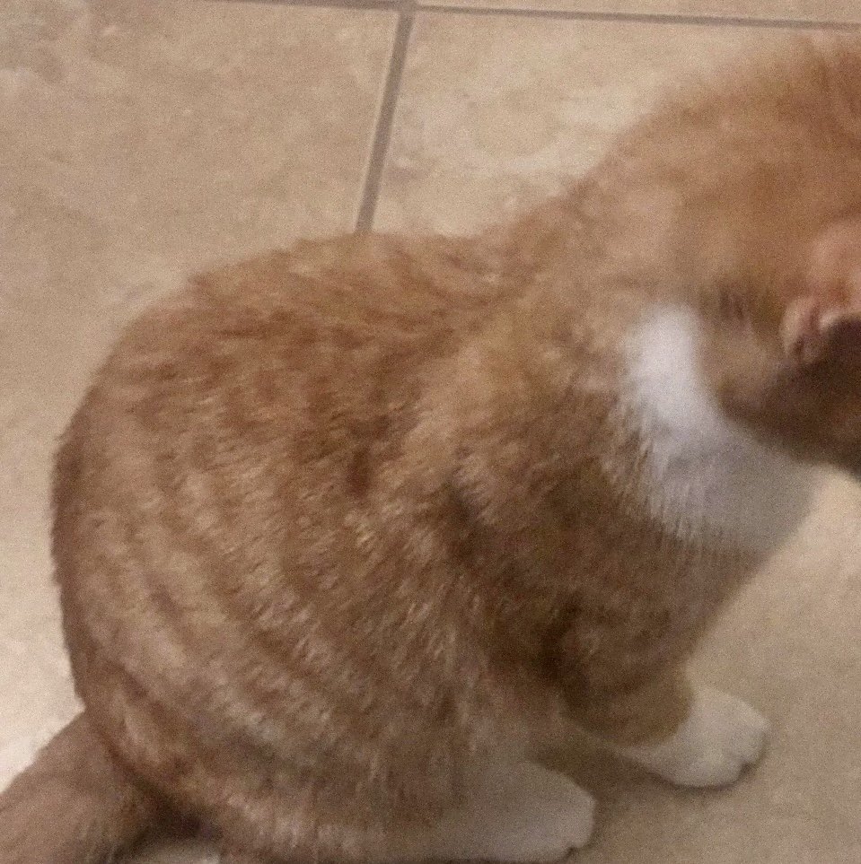 my son kasper when he was a little boy