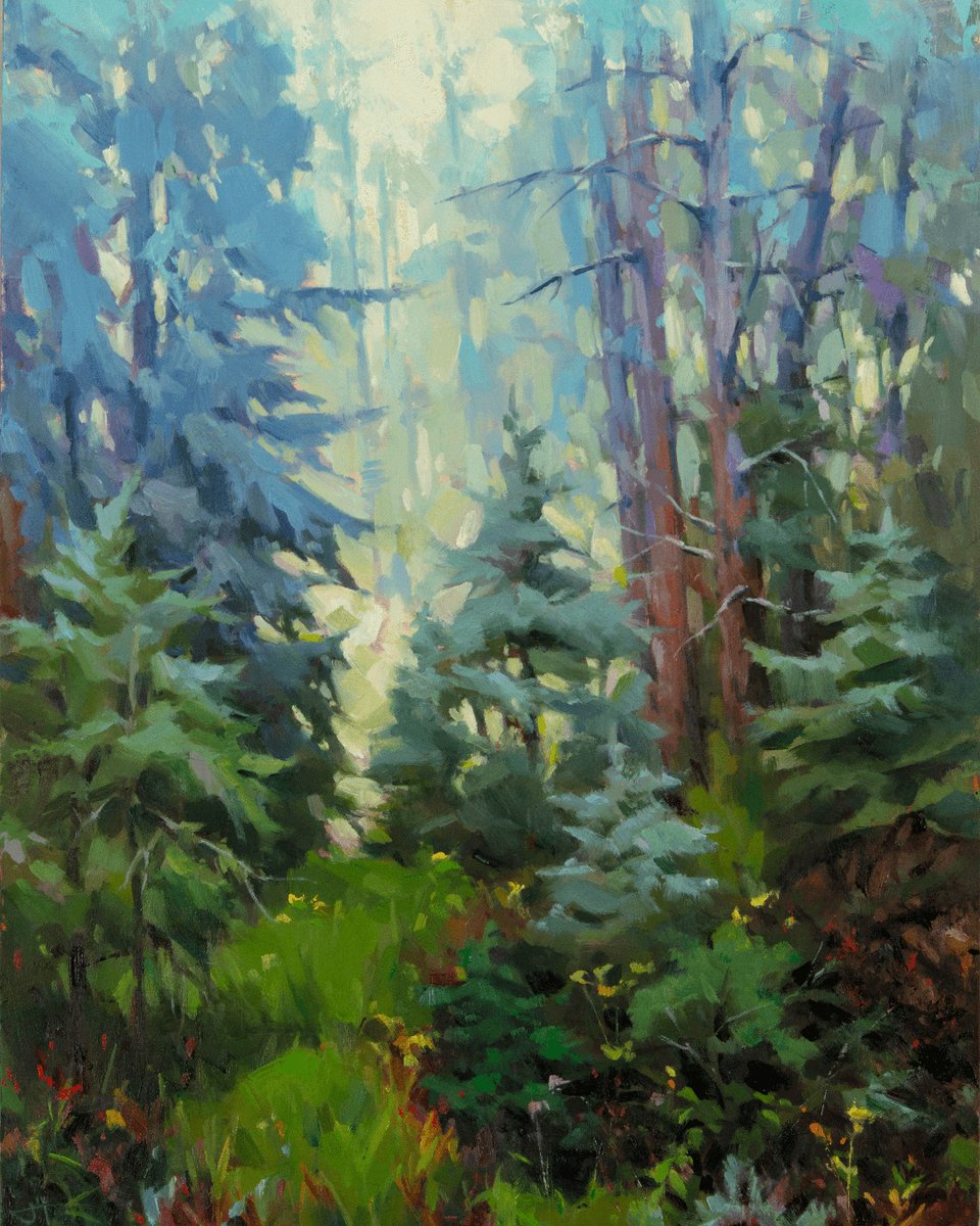 Abend Gallery tweet media